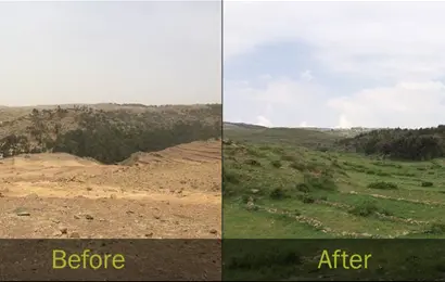 Envoirment Results Before After