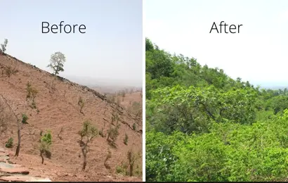 Envoirment Results Before After